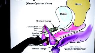 How to squirt? The ultimate tutorial by Mr PussyLicking!