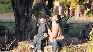 A sexy brunette with green eyes gets fucked hard in a risky spot