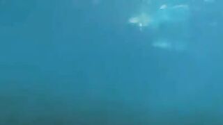 Two aqualangists fucked in the ocean, at the bottom of the sea