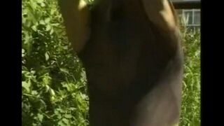 A man in the hayloft plays with his long dick