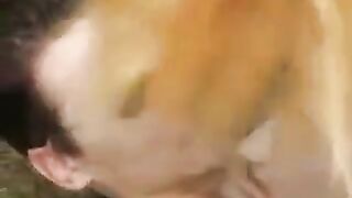 Cute girl was fucking in the park without any embarrassment