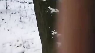 A brave guy tried to freeze the girl’s sexy dick and pussy in time