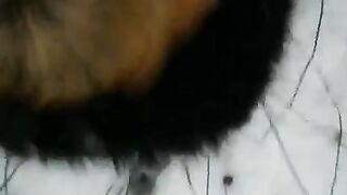 Winter street blowjob with a stunning girl in sexy stockings - Eporn