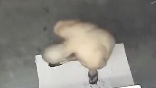 A spy camera in the shower caught a naked man, sparking intense reactions