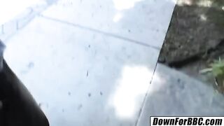 The sexy MILF Lisa Ann fucked by a huge black cock in HD