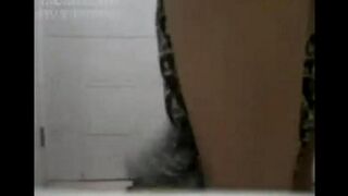 Cute Asian girls in the porn rollers, showcasing their charm and passion
