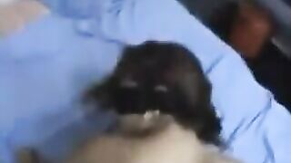 A little bent girlfriend has an anal sex experience for the first time