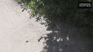 A girl is having fun with a guy in her new country of residence