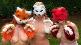 What is Quadrobers? A popular amateur content platform?