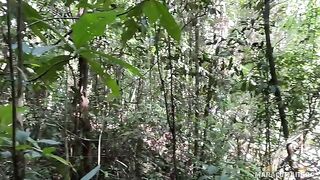 A breath of fresh air and the warmth of her lips on my cock outdoors