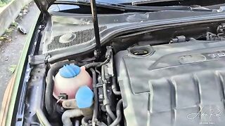 Perfect bait on the road - An unexpected and wild encounter in a car