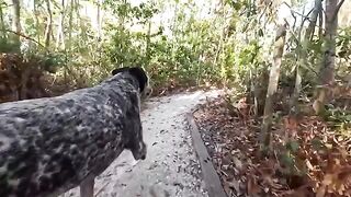 A guy had sex with girl in the jungle environment