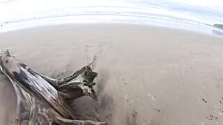 The girl made a blowjob on the beach and got a cumshot